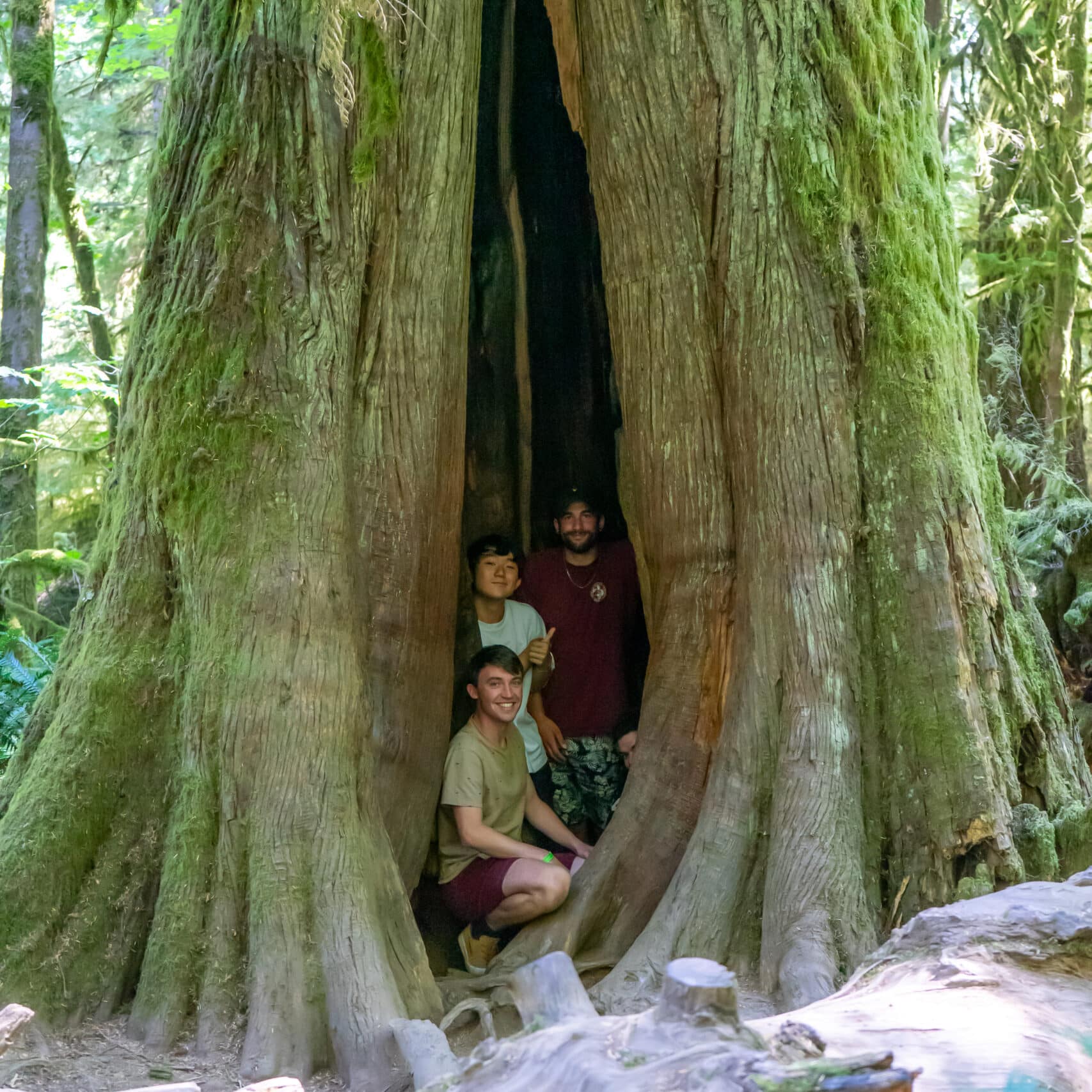 https://www.westtrek.com/wp-content/uploads/2022/06/©Lisanne_Smeele_Tofino_August13th-64-scaled-e1657146462262.jpg
