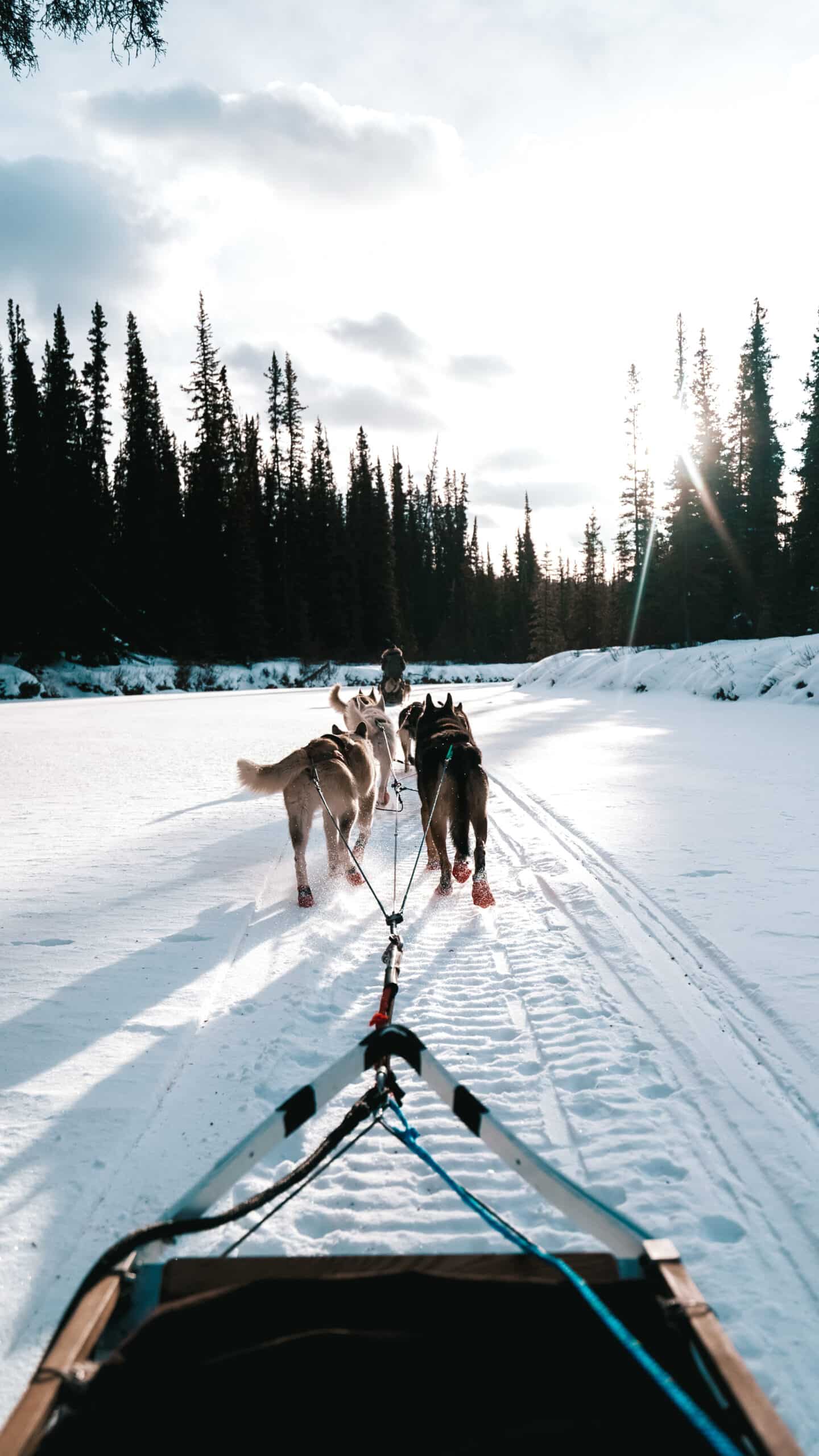 https://www.westtrek.com/wp-content/uploads/2022/08/DSC03522-scaled.jpg