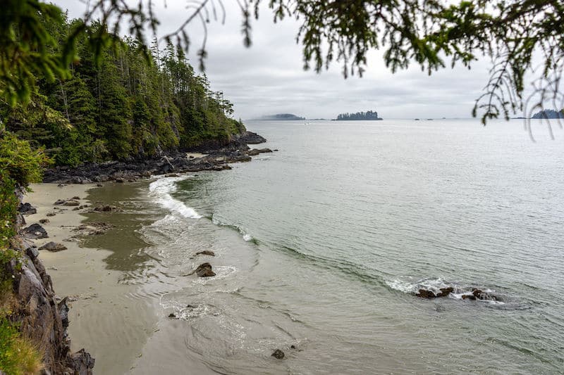 https://www.westtrek.com/wp-content/uploads/2022/08/©DCT-LisanneSmeele-Tofino-Beach.jpg