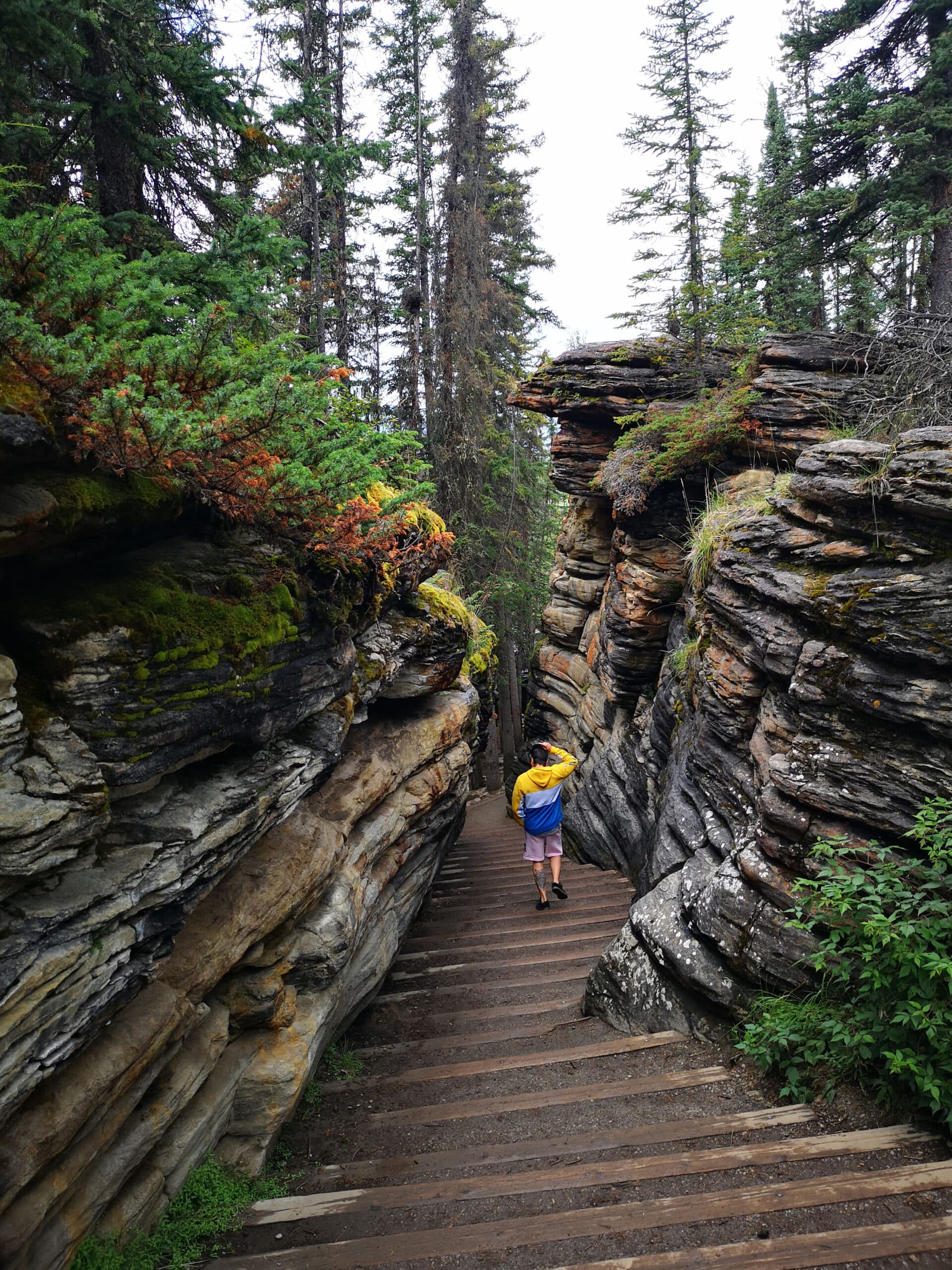 https://www.westtrek.com/wp-content/uploads/2022/11/AthabascaFalls7-scaled.jpg