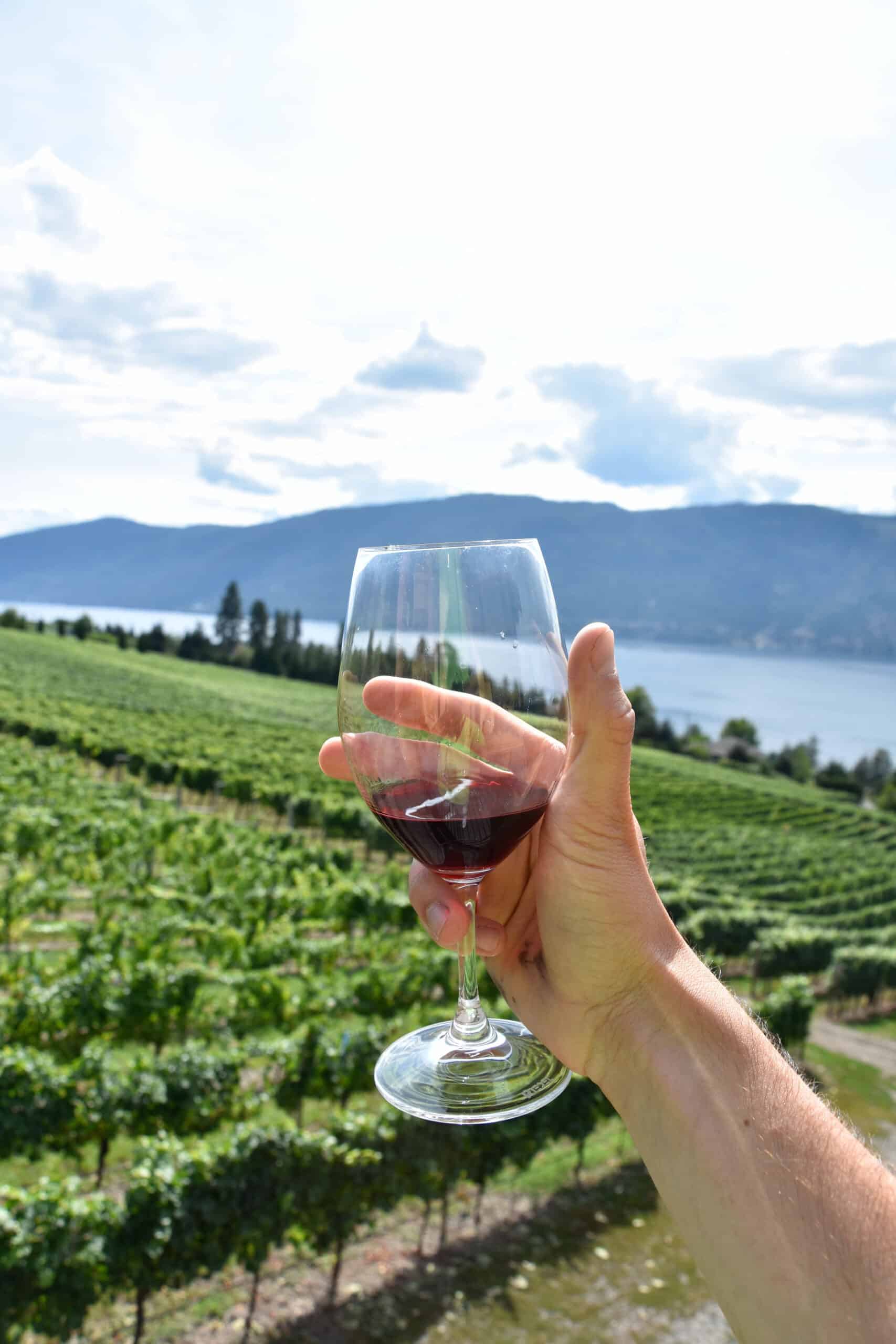 https://www.westtrek.com/wp-content/uploads/2022/11/WineTasting_OkanaganValley3-scaled.jpg