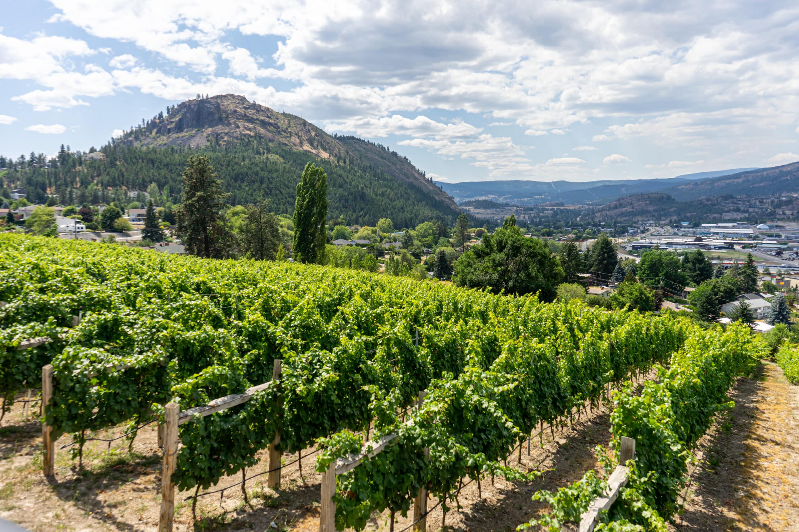 https://www.westtrek.com/wp-content/uploads/2022/11/©Lisanne_Smeele_OkanaganWineTasting5-scaled.jpg